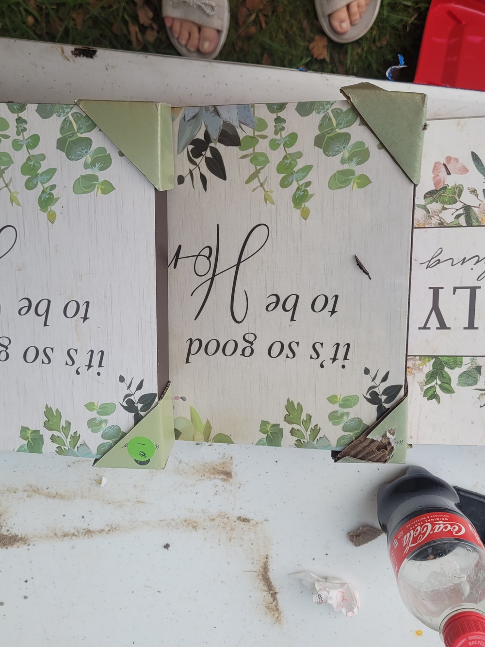Rustic Botanical Wall Art Trio - Green Leaf Accents